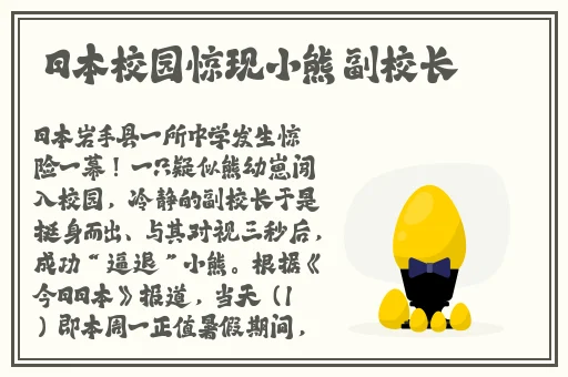小海豚女性玩具